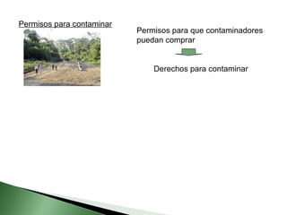 Permisos para contaminar Permisos para que contaminadores puedan comprar Derechos para contaminar 