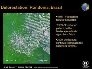 Title Body text 1975 - Vegetación Natural Saludable 1989 -“Fishbone” pattern on the landscape indicate agriculture fields 2000 -Agricultura continua reemplazando cobertura forestal. 