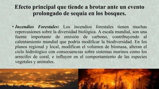LA SEQUÍA - IMPACTO Y AFECTACIÓN EN ÁREAS FORESTAELS | PPTX
