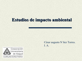Estudios de impacto ambiental César augusto Núñez Torres. I. A. 