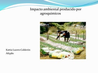                Impacto ambiental producido por            agroquimicos Kattia Lucero Calderón A83580 