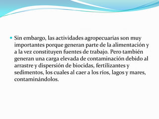 Sin embargo, las actividades agropecuarias son muy importantes porque generan parte de la alimentación y a la vez constituyen fuentes de trabajo. Pero también generan una carga elevada de contaminación debido al arrastre y dispersión de biocidas, fertilizantes y sedimentos, los cuales al caer a los ríos, lagos y mares, contaminándolos.