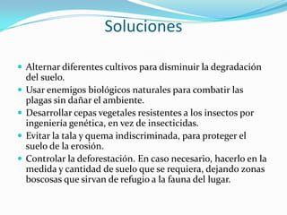 SolucionesAlternar diferentes cultivos para disminuir la degradación del suelo.Usar enemigos biológicos naturales para combatir las plagas sin dañar el ambiente.Desarrollar cepas vegetales resistentes a los insectos por ingeniería genética, en vez de insecticidas.Evitar la tala y quema indiscriminada, para proteger el suelo de la erosión.Controlar la deforestación. En caso necesario, hacerlo en la medida y cantidad de suelo que se requiera, dejando zonas boscosas que sirvan de refugio a la fauna del lugar.
