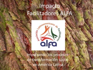 Impacto
Facilitadores ALFA
Impulsando los procesos
de transformación social
en América Latina
 