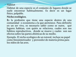  Hábitat
 Hábitat de una especie es el conjunto de lugares donde se
 suele encontrar habitualmente. Es decir es un lugar
 físico, palpable.
 Nicho ecológico.
 Es la profesión que tiene una especie dentro de una
 comunidad o ecosistema a la que pertenece. Para definirlo
 en un ser vivo, es necesario saber como se nutre, qué
 lugares habitan, con quién se relaciona, cuales son sus
 hábitos reproductivos, donde se mueve y cuales son sus
 efectos sobre las partes abióticas de su medio.
 Ejemplo. El nicho ecológico de un totoral, incluye su papel
 como fotosintetizador y proveedor de materia prima para
 los nidos de las aves.
 