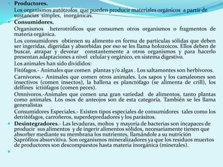  Productores.
  Los organismos autótrofos que pueden producir materiales orgánicos a partir de
  sustancias simples, inorgánicas.
 Consumidores.
  Organismos heterotróficos que consumen otros organismos o fragmentos de
  materia orgánica.
  Los consumidores obtienen su alimento en forma de partículas sólidas que deben
  ser ingeridas, digeridas y absorbidas por eso se les llama holozoicos. Ellos deben de
  buscar, atrapar y devorar constantemente a otros organismos y para hacerlo
  presentan adaptaciones a nivel celular y orgánico, en sistema digestivo.
  Los animales han sido divididos:
  Fitófagos.- Animales que comen plantas y/o algas . Los saltamontes son herbívoros.
  Carnívoros.- Animales que comen otros animales. Los sapos y los camaleones son
  insectivos (comen insectos), la ballena es planctófago (se alimenta de crill), los
  delfines ictiófagos (comen peces).
  Omnívoros.-Animales que comen una gran variedad de alimentos, tanto plantas
  como animales. Los osos de anteojos son de esta categoría. También se les llama
  generalistas
  Consumidores Especiales.- Existen tipos especiales de consumidores tales como los
  detritófagos, carroñeros, superdepredadores y los parásitos.
 Desintegradores.- Las levaduras, mohos y mayoría de bacterias son incapaces de
  producir sus alimentos y de ingerir alimentos sólidos, necesariamente tienen que
  absorber mediante su membrana los nutrientes, llamándole a su nutrición
  Saprófitos absorvitiva. Son organismos mineralizadores ya que los residuos muertos
  de productores son descompuestos hasta materia inorgánica (minerales).

 