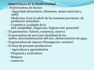  Importancia de la biodiversidad
 Es proveedora de bienes:
   • Seguridad alimentaria: alimentos, mejor nutrición y
     salud
   • Medicinas (Casi el u80% de los insumos provienen de
     productos naturales).
   • Cosmética: (cuidado de la
     piel, maquillaje, fragancias, higiene oral, personal)
 Es patrimonio: Valores, existencia, reserva
 Es proveedora de servicios: fertilidad de los
  suelos, descontaminación del aire, abastecimiento de agua.
 Es generadora de riqueza (bionegocios, turismo)
 Es base de procesos productivos:
    Agricultura y agroindustria
    Pesquería y acuicultura
    Bosques
    comercio
 