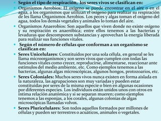  Según el tipo de respiración, los seres vivos se clasifican en:
 Organismos Aerobios: El oxígeno se puede encontrar en el aire o en el
    agua, a los organismos que utilizan el oxígeno para realizar su respiración
    de les llama Organismos Aerobios. Los peces y algas toman el oxígeno del
    agua, todos los demás vegetales y animales lo toman del aire.
   Organismos Anaerobios: Son aquellos que viven donde no existe oxígeno
    y su respiración es anaeróbica; entre ellos tenemos a las bacterias y
    levaduras que descomponen substancias y aprovechan la energía liberada
    para realizar sus funciones vitales.
    Según el número de células que conforman a un organismo se
    clasifican en:
   Seres Unicelulares: Constituidos por una sola célula, en general se les
    llama microorganismos y son seres vivos que cumplen con todas las
    funciones vitales como crecer, reproducirse, alimentarse, reaccionar ante
    estímulos del medio ambiente, etc. Como ejemplos tenemos a las
    bacterias, algunas algas microscópicas, algunos hongos, protozoarios, etc.
   Seres Coloniales: Muchos seres vivos nunca existen en forma aislada en
    la naturaleza, las agrupaciones son muy variadas y pueden estar
    constituidas por seres de la misma especie o bien en algunas ocasiones
    por diferentes especies. Los individuos están unidos unos con otros en
    íntima relación anatómica y si se separan mueren; como ejemplos
    tenemos a las esponjas, a los corales, algunas colonias de algas
    microscópicas llamadas volvox.
   Seres Pluricelulares: Son todos aquellos formados por millones de
    células y pueden ser terrestres o acuáticos, animales o vegetales.
 