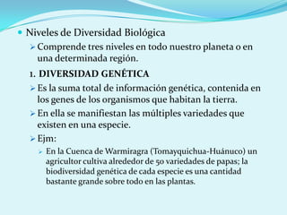  Niveles de Diversidad Biológica
   Comprende tres niveles en todo nuestro planeta o en
    una determinada región.
  1. DIVERSIDAD GENÉTICA
   Es la suma total de información genética, contenida en
    los genes de los organismos que habitan la tierra.
   En ella se manifiestan las múltiples variedades que
    existen en una especie.
   Ejm:
       En la Cuenca de Warmiragra (Tomayquichua-Huánuco) un
        agricultor cultiva alrededor de 50 variedades de papas; la
        biodiversidad genética de cada especie es una cantidad
        bastante grande sobre todo en las plantas.
 