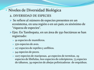 • Niveles de Diversidad Biológica
  2. DIVERSIDAD DE ESPECIES
   Se refiere al número de especies presentes en un
    ecosistema, en una región o en un país; es sinónimo de
    “riqueza de especies“.
   Ejm: En Tambopata, en un área de 550 hectáreas se han
    registrado:
       91 especies de mamíferos.
       570 especies de aves.
       127 especies de reptiles y anfibios.
       94 especies de peces.
       1207 especies de mariposas, 40 especies de termitas, 29
        especies de libélulas, 600 especies de coleópteros, 73 especies
        de tábanos, 39 especies de abejas polinizadoras de orquídeas.
 