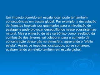 Impacto Ambiental | PPS
