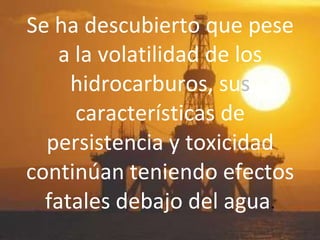 Se ha descubierto que pese
a la volatilidad de los
hidrocarburos, sus
características de
persistencia y toxicidad
continúan teniendo efectos
fatales debajo del agua.
 