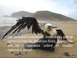 • Las acciones humanas, motivadas por la
consecución de diversos fines, provocan
efectos colaterales sobre el medio
natural o social.
 