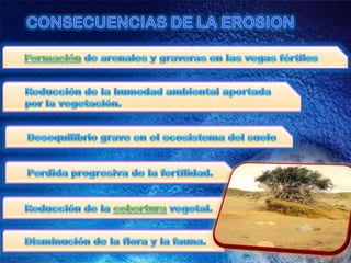 CONSECUENCIAS DE LA EROSIONFormación de arenales y graveras en las vegas fértilesReducción de la humedad ambiental aportada por la vegetación.	Desequilibrio grave en el ecosistema del sueloPerdida progresiva de la fertilidad.Reducción de la cobertura vegetal.Disminución de la flora y la fauna.