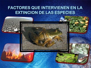 FACTORES QUE INTERVIENEN EN LA EXTINCION DE LAS ESPECIES
