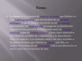  La fauna es el conjunto de especies animales que habitan en
una región geográfica, que son propias de un período
geológico o que se pueden encontrar en un ecosistema
determinado. La zoogeografía se ocupa de la distribución
espacial de los animales. Ésta depende tanto de factores
abióticos como de factores bióticos. Entre éstos sobresalen
las relaciones posibles de competencia o de depredación
entre las especies. Los animales suelen ser muy sensibles a
las perturbaciones que alteran su hábitat; por ello, un
cambio en la fauna de un ecosistema indica una alteración en
uno o varios de los factores de éste.
 