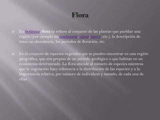  En botánica, flora se refiere al conjunto de las plantas que pueblan una
región (por ejemplo un continente, clima, sierra, etc.), la descripción de
éstas, su abundancia, los períodos de floración, etc.
 Es el conjunto de especies vegetales que se pueden encontrar en una región
geográfica, que son propias de un periodo geológico o que habitan en un
ecosistema determinado. La flora atiende al número de especies mientras
que la vegetación hace referencia a la distribución de las especies y a la
importancia relativa, por número de individuos y tamaño, de cada una de
ellas.
 