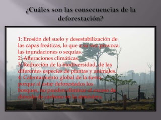 1: Erosión del suelo y desestabilización de
las capas freáticas, lo que a su vez provoca
las inundaciones o sequías.
2: Alteraciones climáticas.
3: Reducción de la biodiversidad, de las
diferentes especies de plantas y animales.
4: Calentamiento global de la tierra:
porque al estar deforestados los
bosques, no pueden eliminar el exceso de
dióxido de carbono en la atmósfera.
 