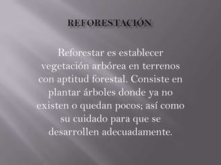 Reforestar es establecer
vegetación arbórea en terrenos
con aptitud forestal. Consiste en
plantar árboles donde ya no
existen o quedan pocos; así como
su cuidado para que se
desarrollen adecuadamente.
 