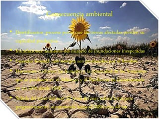 Consecuencia ambiental 
• Desrtificacion: proceso por el que las tierras afectadas pierden su 
capacidad productiva 
• Inundaciones: aumento del número de inundaciones inesperadas 
• Incendio forestal: casi siempre son producidos por el hombre 
• Huracanes o tifones: La duración y la intensidad de los huracanes 
que se producen en el Atlántico y el Pacífico se ha incrementado 
en un 50% desde 1970. 
• Subida del nivel del mar: El nivel del mar subirá lenta pero 
progresivamente, aumentando hacia el 2080 unos 40 cm 
 