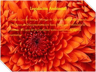 Legislación Ambiental 
• Desde la Ley de Bases a Normas de Calidad Ambiental, pasando 
por Planes de Descontaminación hasta Programa Priorizado de 
Normas. En caso de no encontrar texto completo de alguna 
normativa 
 