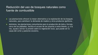 Reducción del uso de bosques naturales como
fuente de combustible
 Las plantaciones ofrecen la mejor alternativa a la explotación de los bosques
naturales, para satisfacer la demanda de madera y otros productos igníferos.
 Asimismo, las plantaciones comunitarias para la producción de leña y forraje,
cerca de los poblados, facilita el acceso de los usuarios a estos bienes, y, a la
vez, ayuda a aliviar la presión sobre la vegetación local, que puede ser la
causa del corte y pastoreo excesivo.
 