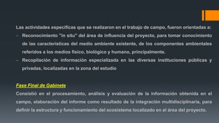 Las actividades específicas que se realizaron en el trabajo de campo, fueron orientadas a:
 Reconocimiento "in situ" del área de influencia del proyecto, para tomar conocimiento
de las características del medio ambiente existente, de los componentes ambientales
referidos a los medios físico, biológico y humano, principalmente.
 Recopilación de información especializada en las diversas instituciones públicas y
privadas, localizadas en la zona del estudio
Fase Final de Gabinete
Consistió en el procesamiento, análisis y evaluación de la información obtenida en el
campo, elaboración del informe como resultado de la integración multidisciplinaria, para
definir la estructura y funcionamiento del ecosistema localizado en el área del proyecto.
 
