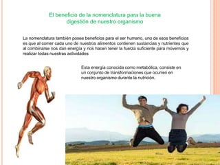 El beneficio de la nomenclatura para la buena
digestión de nuestro organismo
La nomenclatura también posee beneficios para el ser humano, uno de esos beneficios
es que al comer cada uno de nuestros alimentos contienen sustancias y nutrientes que
al combinarse nos dan energía y nos hacen tener la fuerza suficiente para movernos y
realizar todas nuestras actividades
Esta energía conocida como metabólica, consiste en
un conjunto de transformaciones que ocurren en
nuestro organismo durante la nutrición.
 