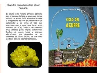 El azufre como beneficio al ser
humano
El azufre como materia prima se combina
con el oxigeno del aire al arder para formar
dióxido de azufre, SO2, el cual se somete
a temperatura de 450º en presencia de un
catalizador y se forma el SO3 que
reacciona con el agua para tener acido
sulfúrico (H2SO4) producto de consumo
muy utilizado para: limpiar, automóviles
hechos de acero, luces y aparatos
electrónicos que dependen de los
alambres de cobre, diluido, se usa como
acido de batería, abonos fosfatados,
 