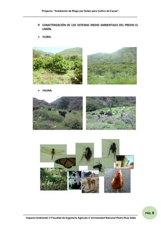 Proyecto: “Instalación de Riego por Goteo para Cultivo de Cacao”.
Impacto Ambiental /// Facultad de Ingeniería Agrícola /// Universidad Nacional Pedro Ruíz Gallo
PÁG. 8
 CARACTERIZACIÓN DE LOS SISTEMAS MEDIO AMBIENTALES DEL PREDIO EL
LIMÓN.
 FLORA.
 FAUNA.
 