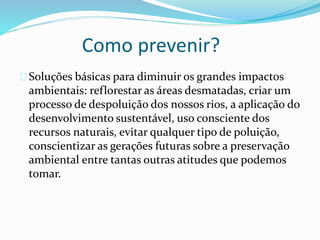 Como prevenir?
Soluções básicas para diminuir os grandes impactos
ambientais: reflorestar as áreas desmatadas, criar um
processo de despoluição dos nossos rios, a aplicação do
desenvolvimento sustentável, uso consciente dos
recursos naturais, evitar qualquer tipo de poluição,
conscientizar as gerações futuras sobre a preservação
ambiental entre tantas outras atitudes que podemos
tomar.
 