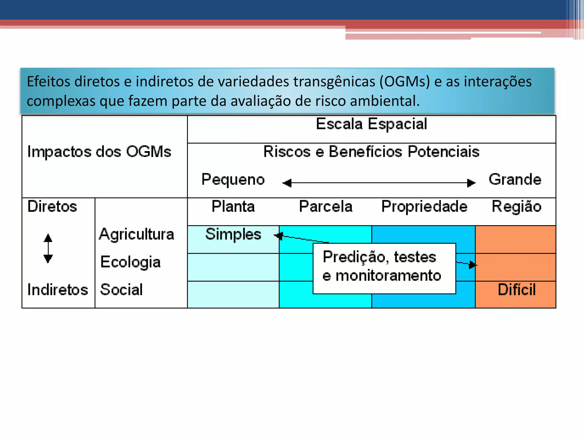 Efeitos diretos e indiretos de variedades transgênicas (OGMs) e as interações
complexas que fazem parte da avaliação de risco ambiental.
 