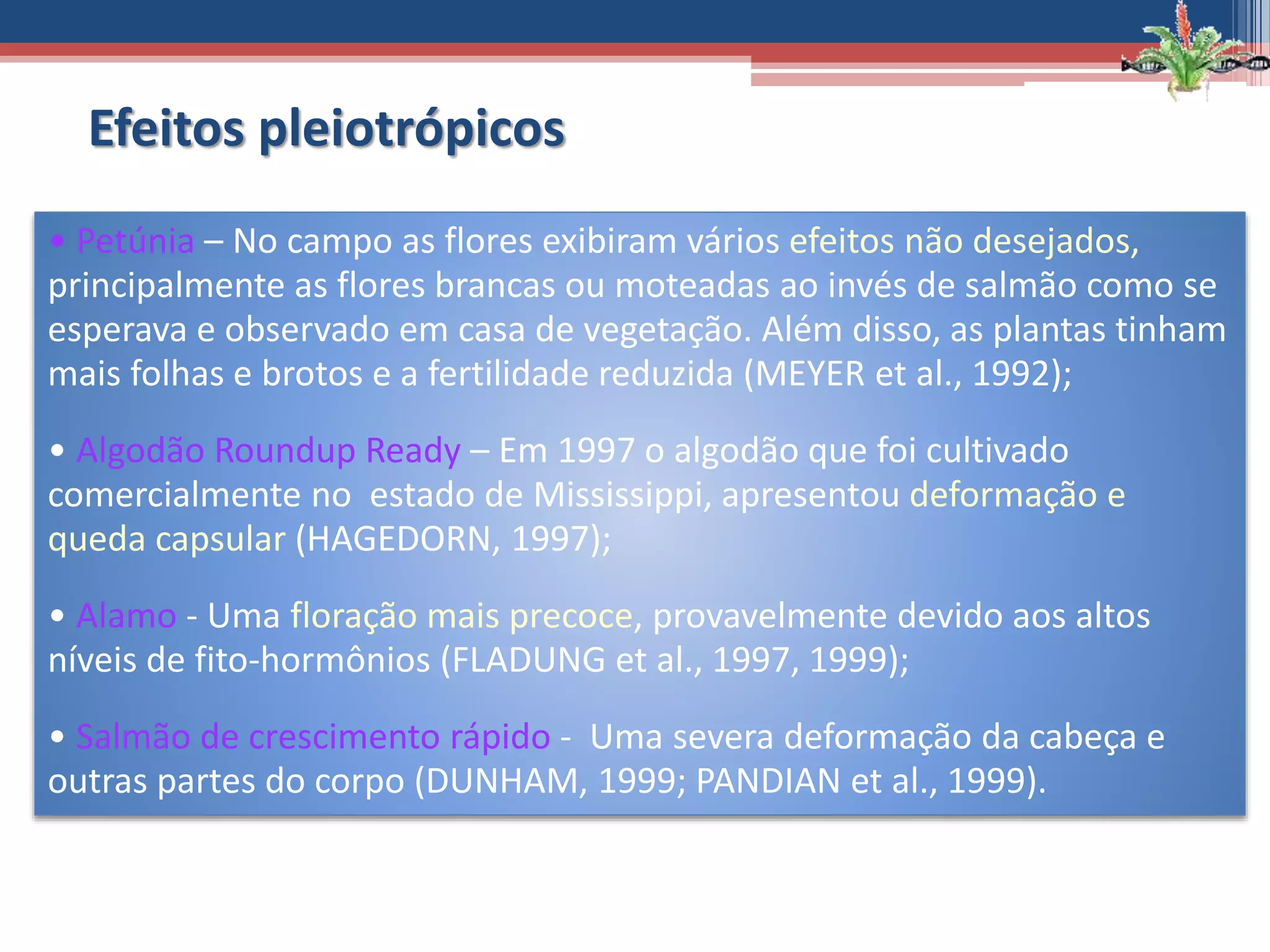 • Petúnia – No campo as flores exibiram vários efeitos não desejados,
principalmente as flores brancas ou moteadas ao invés de salmão como se
esperava e observado em casa de vegetação. Além disso, as plantas tinham
mais folhas e brotos e a fertilidade reduzida (MEYER et al., 1992);
• Algodão Roundup Ready – Em 1997 o algodão que foi cultivado
comercialmente no estado de Mississippi, apresentou deformação e
queda capsular (HAGEDORN, 1997);
• Alamo - Uma floração mais precoce, provavelmente devido aos altos
níveis de fito-hormônios (FLADUNG et al., 1997, 1999);
• Salmão de crescimento rápido - Uma severa deformação da cabeça e
outras partes do corpo (DUNHAM, 1999; PANDIAN et al., 1999).
Efeitos pleiotrópicos
 