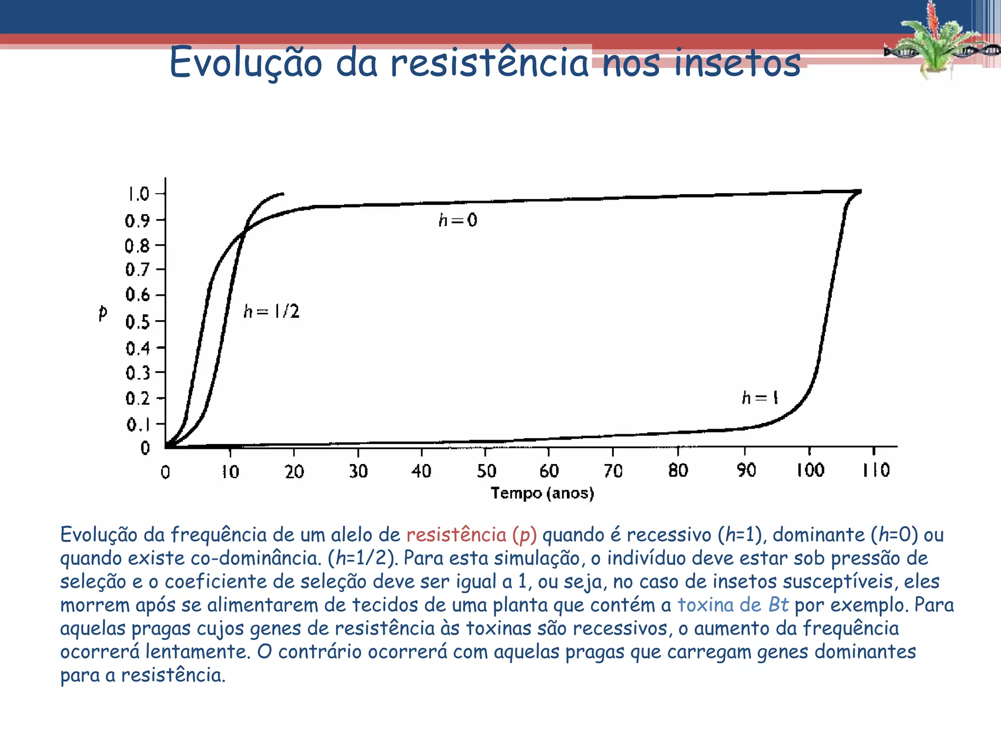 Evolução da frequência de um alelo de resistência (p) quando é recessivo (h=1), dominante (h=0) ou
quando existe co-dominância. (h=1/2). Para esta simulação, o indivíduo deve estar sob pressão de
seleção e o coeficiente de seleção deve ser igual a 1, ou seja, no caso de insetos susceptíveis, eles
morrem após se alimentarem de tecidos de uma planta que contém a toxina de Bt por exemplo. Para
aquelas pragas cujos genes de resistência às toxinas são recessivos, o aumento da frequência
ocorrerá lentamente. O contrário ocorrerá com aquelas pragas que carregam genes dominantes
para a resistência.
Evolução da resistência nos insetos
 