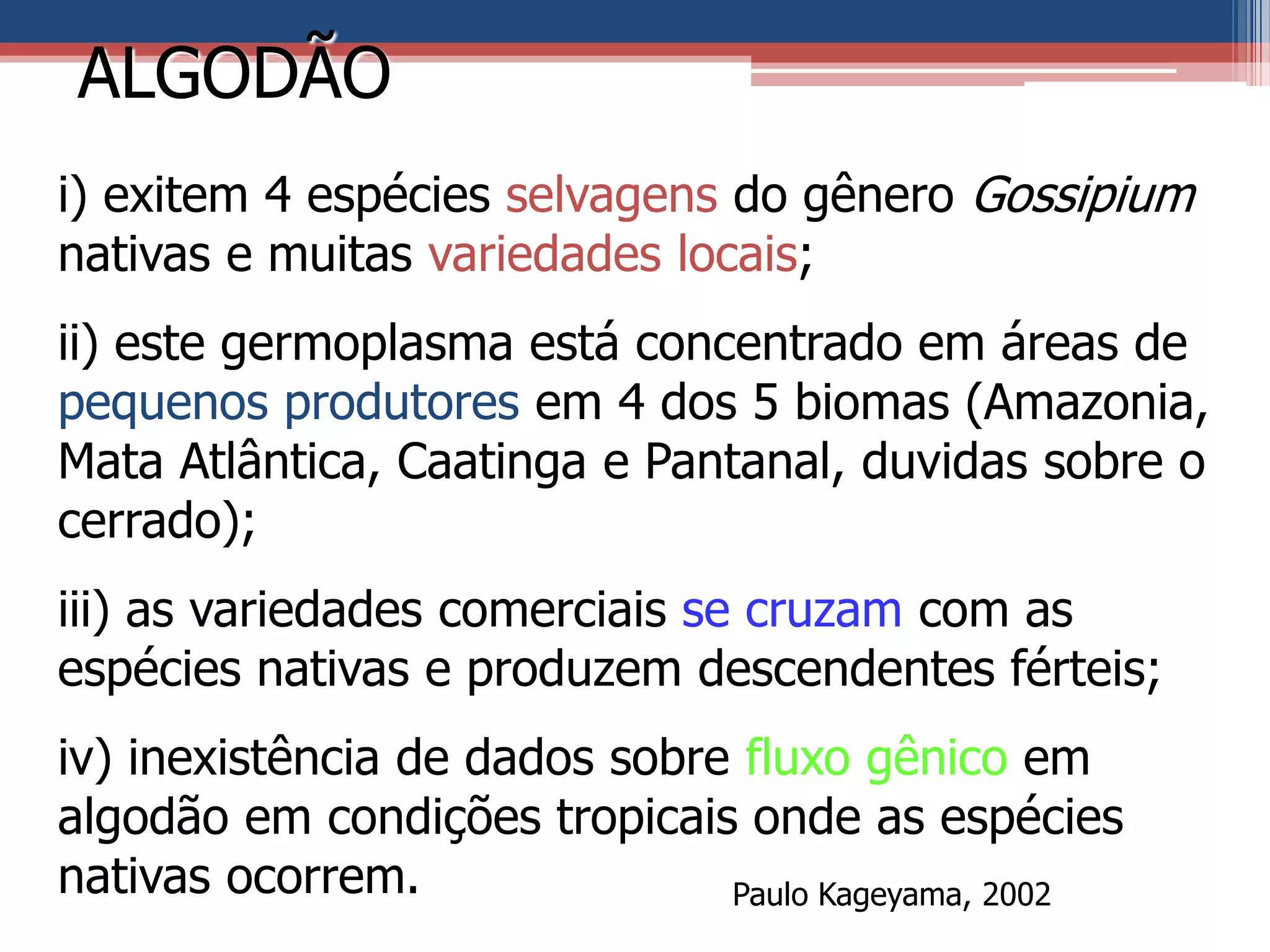 i) exitem 4 espécies selvagens do gênero Gossipium
nativas e muitas variedades locais;
ii) este germoplasma está concentrado em áreas de
pequenos produtores em 4 dos 5 biomas (Amazonia,
Mata Atlântica, Caatinga e Pantanal, duvidas sobre o
cerrado);
iii) as variedades comerciais se cruzam com as
espécies nativas e produzem descendentes férteis;
iv) inexistência de dados sobre fluxo gênico em
algodão em condições tropicais onde as espécies
nativas ocorrem.
ALGODÃO
Paulo Kageyama, 2002
 