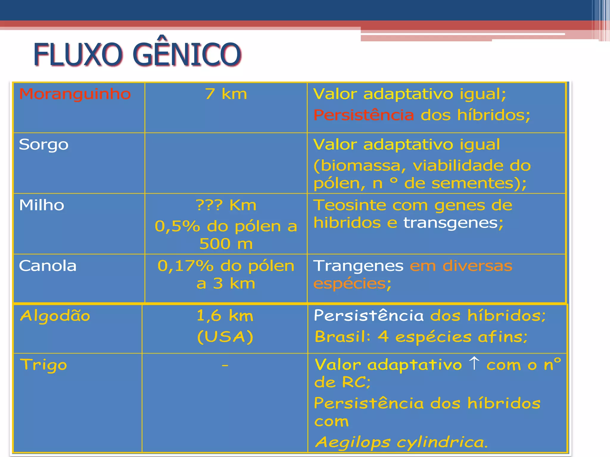 FLUXO GÊNICO
Trangenes em diversas
espécies;
0,17% do pólen
a 3 km
Canola
Teosinte com genes de
hibridos e transgenes;
??? Km
0,5% do pólen a
500 m
Milho
Valor adaptativo igual
(biomassa, viabilidade do
pólen, n ° de sementes);
Sorgo
Valor adaptativo igual;
Persistência dos híbridos;
7 kmMoranguinho
Trangenes em diversas
espécies;
0,17% do pólen
a 3 km
Canola
Teosinte com genes de
hibridos e transgenes;
??? Km
0,5% do pólen a
500 m
Milho
Valor adaptativo igual
(biomassa, viabilidade do
pólen, n ° de sementes);
Sorgo
Valor adaptativo igual;
Persistência dos híbridos;
7 kmMoranguinho
Valor adaptativo  com o n°
de RC;
Persistência dos híbridos
com
Aegilops cylindrica.
-Trigo
Persistência dos híbridos;
Brasil: 4 espécies afins;
1,6 km
(USA)
Algodão
Valor adaptativo  com o n°
de RC;
Persistência dos híbridos
com
Aegilops cylindrica.
-Trigo
Persistência dos híbridos;
Brasil: 4 espécies afins;
1,6 km
(USA)
Algodão
 