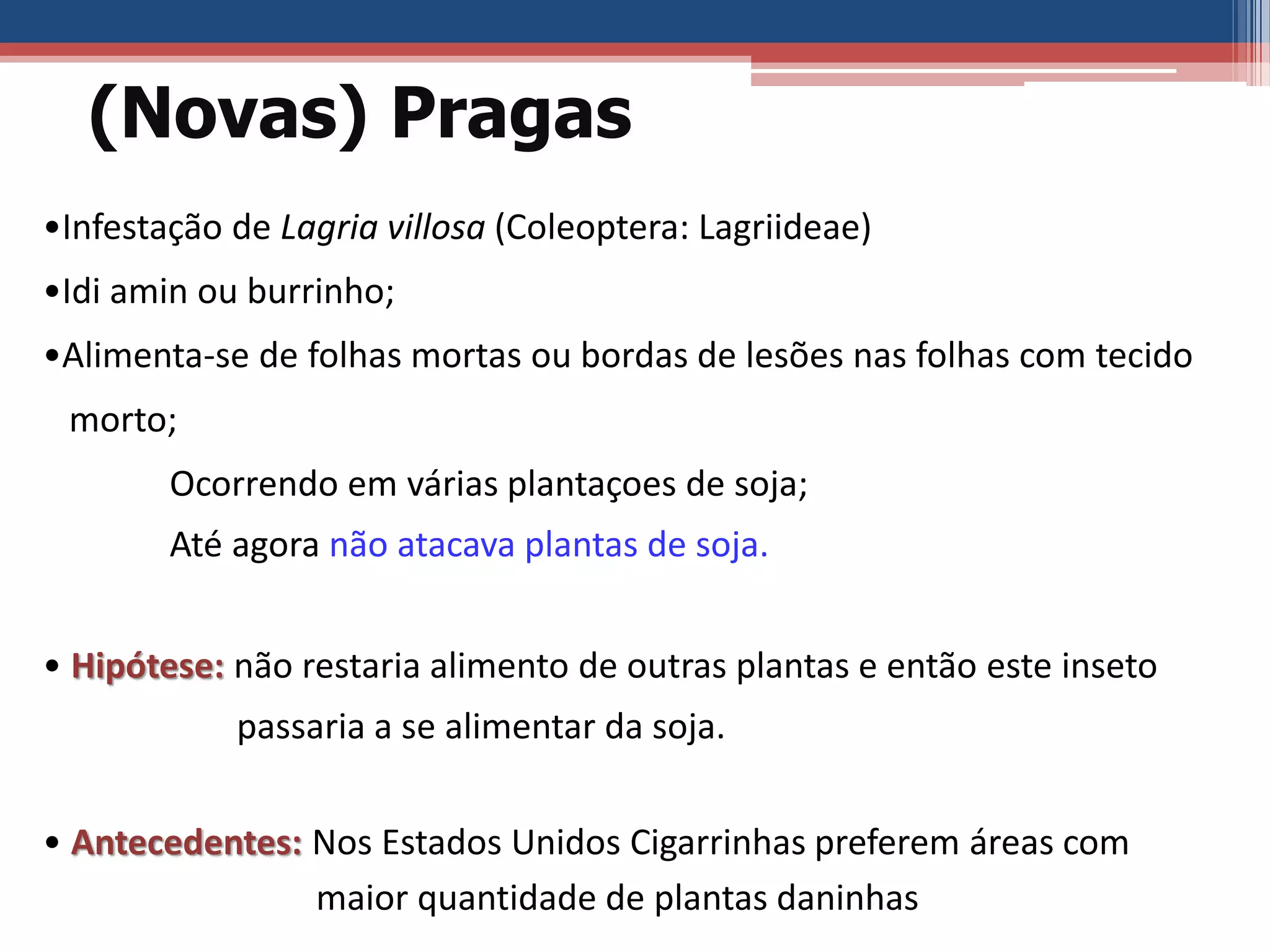 •Infestação de Lagria villosa (Coleoptera: Lagriideae)
•Idi amin ou burrinho;
•Alimenta-se de folhas mortas ou bordas de lesões nas folhas com tecido
morto;
Ocorrendo em várias plantaçoes de soja;
Até agora não atacava plantas de soja.
• Hipótese: não restaria alimento de outras plantas e então este inseto
passaria a se alimentar da soja.
• Antecedentes: Nos Estados Unidos Cigarrinhas preferem áreas com
maior quantidade de plantas daninhas
(Novas) Pragas
 