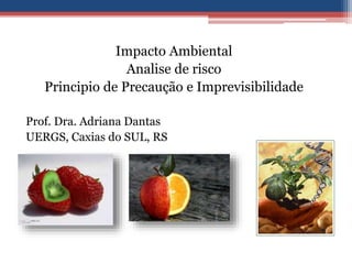 Impacto Ambiental
Analise de risco
Principio de Precaução e Imprevisibilidade
Prof. Dra. Adriana Dantas
UERGS, Caxias do SUL, RS
 