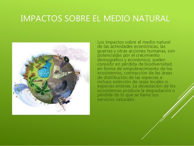 Impacto Ambiental De La Actividad Humana