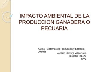 IMPACTO AMBIENTAL DE LA
PRODUCCION GANADERA O
PECUARIA
Janitzin Herrera Valenzuela
ID:00000136477
MVZ
Curso: Sistemas de Producción y Ecología
Animal
 
