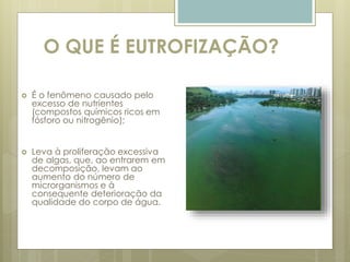 O QUE É EUTROFIZAÇÃO?
 É o fenômeno causado pelo
excesso de nutrientes
(compostos químicos ricos em
fósforo ou nitrogênio);
 Leva à proliferação excessiva
de algas, que, ao entrarem em
decomposição, levam ao
aumento do número de
microrganismos e à
consequente deterioração da
qualidade do corpo de água.
 