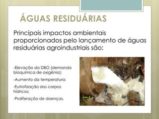 ÁGUAS RESIDUÁRIAS
Principais impactos ambientais
proporcionados pelo lançamento de águas
residuárias agroindustriais são:
-Elevação da DBO (demanda
bioquímica de oxigênio);
-Aumento da temperatura;
-Eutrofização dos corpos
hídricos;
-Proliferação de doenças.
 