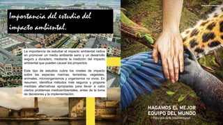 Impacto Ambiental en la Ciudad. Actividad 1. 2do corte. Milka Antonella .pdf