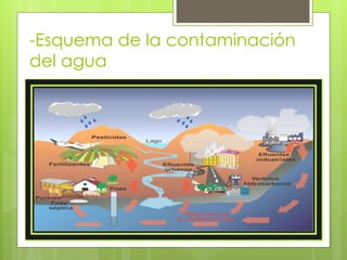 -Esquema de la contaminación
del agua
 