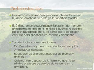 Deforestación:
 Es un proceso provocado generalmente por la acción
humana, en el que se destruye la superficie forestal.
 Está directamente causada por la acción del hombre,
principalmente debido a las talas o quemas realizadas
por la industria maderera, así como por la obtención
de suelo para la agricultura, minería y ganadería.
 Sus principales consecuencias son:
1. Erosión del suelo, provoca inundaciones o sequías.
2. Alteraciones climáticas.
3. Reducción de diferentes especies de plantas y
animales.
4. Calentamiento global de la Tierra, ya que no se
elimina el exceso de dióxido de carbono en la
atmósfera.
 