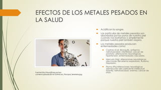 EFECTOS DE LOS METALES PESADOS EN 
LA SALUD 
 Acidifican la sangre. 
 Las partículas de metales pesados son 
absorbidas por los poros de nuestra piel 
cuando nos bañamos o simplemente 
porque nuestra piel también respira. 
 Los metales pesados producen 
enfermedades como: 
 Cadmio (Cd): Bronquitis, enfisema; 
nefrotoxicidad; infertilidad; cáncer de 
próstata; alteraciones neurológicas; 
hipertensión; enfermedades vasculares. 
 Mercurio (Hg): Alteraciones neurológicas; 
afecciones del sistema respiratorio, Autismo, 
Depresión. 
 Plomo (Pb):Alteraciones neurológicas 
(disminución del coeficiente intelectual 
infantil); nefrotoxicidad; anemia; cáncer de 
Fuente:http://laurafitness.es/wp- riñón. 
content/uploads/2014/10/Articulo_Principal_ferreteria.jpg 
 