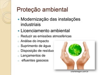 Proteção ambiental
 Modernização das instalações
  industriais
 Licenciamento ambiental
o Reduzir as emissões atmosféricas
o Análise do impacto
o Suprimento de água
o Disposição de resíduos
o Lançamentos de
o efluentes gasosos



                                 crismenegon.com.br
 