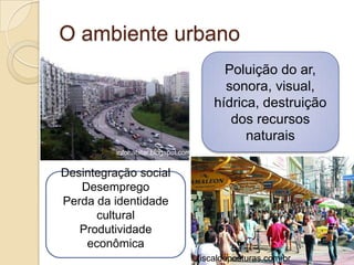 O ambiente urbano
                                           Poluição do ar,
                                           sonora, visual,
                                         hídrica, destruição
                                            dos recursos
                                               naturais
          infohabitar.blogspot.com


Desintegração social
   Desemprego
Perda da identidade
      cultural
   Produtividade
    econômica
                                     fiscaldeposturas.com.br
 