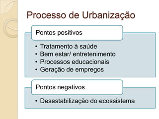 Processo de Urbanização
 Pontos positivos

 •   Tratamento à saúde
 •   Bem estar/ entretenimento
 •   Processos educacionais
 •   Geração de empregos

 Pontos negativos

 • Desestabilização do ecossistema
 