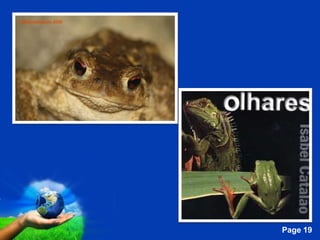 Free Powerpoint Templates
                            Page 19
 